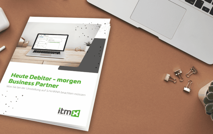Heute Debitor - morgen Business Partner; itmX E-Book