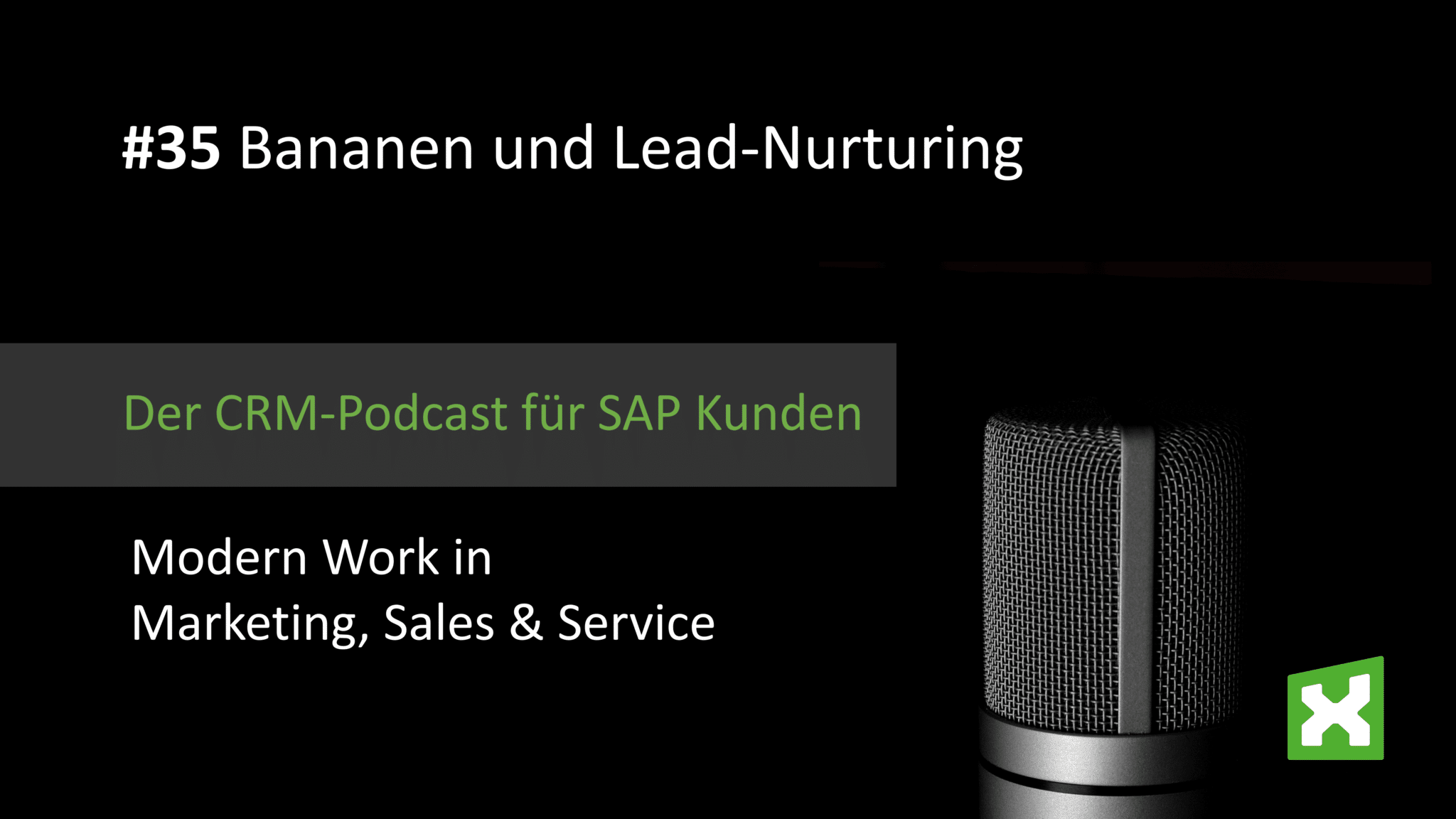 Podcast Bananen und Lead Nuturing